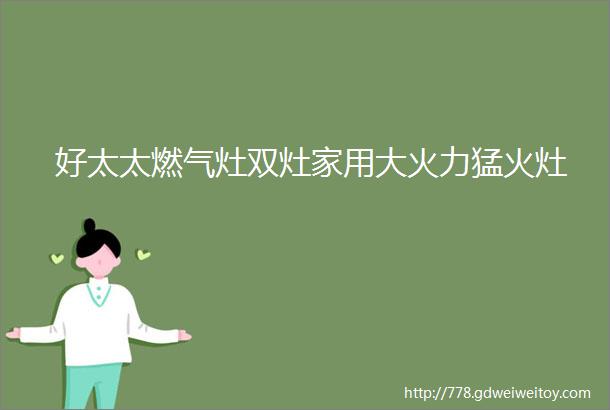 好太太燃气灶双灶家用大火力猛火灶